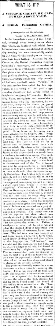 Jacko (crypto-hominid) - A STRANGE CREATURE CAPTURED ABOVE YALE - Daily British Colonist (v. 52, n. 18), 1884-07-04, p. 2.jpg