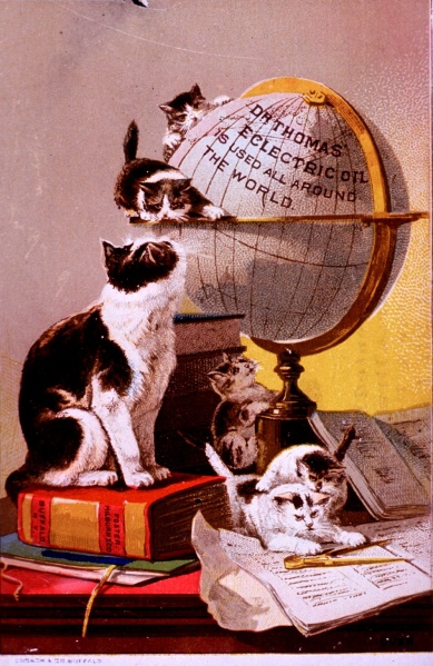 File:Dr. Thomas' Eclectric Oil - Advertising card - Kittens on globe.jpg