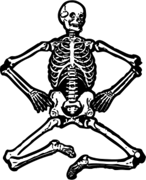 File:Skeleton - johnnyautomatic.svg