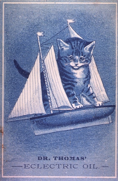 File:Dr. Thomas' Eclectric Oil - Advertising card - Kitten on toy sailboat.jpg