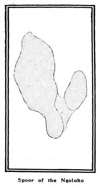 File:Ngoloko (track) - The Sphere - 1919-10-20, p. 289.jpg