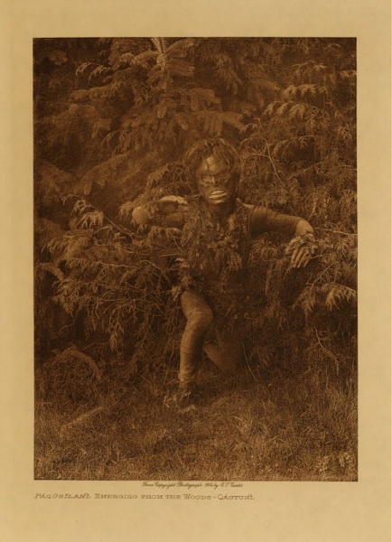 File:Edward Sheriff Curtis - Paqusilahl emerging from the woods.jpg