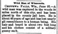 Wild Man (of the Woods, Wisconsin, Chippewa Falls) - 1899-06-30 - Little Falls Herald (Little Falls, MN), p. 7.jpg