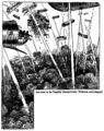 Edison's Conquest of Mars (1898) - One Close to the Flagship Changed Color, Withered, and Collapsed - illo. by G.Y. Kaufman.jpg