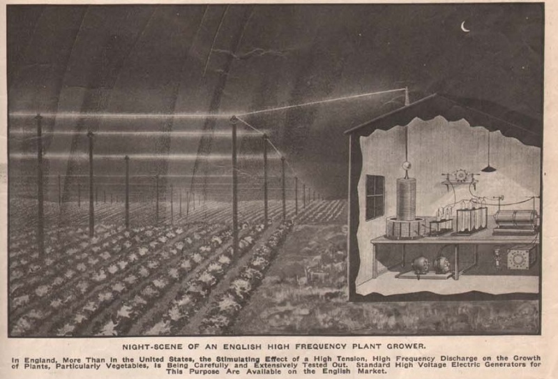 File:Electricity Being Used to Hasten Crops.jpg