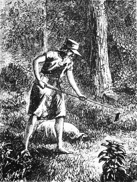 File:Johnny Appleseed - Harper's New Monthly Magazine, c. 1871.gif