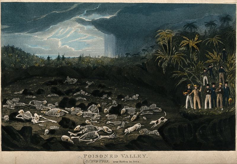File:Guevo Upas (Poisoned Valley) near Batten in Java (Wellcome 726189i).jpg