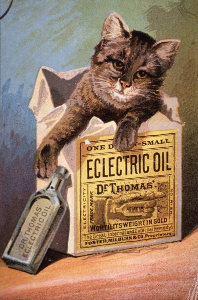 File:Dr. Thomas' Eclectric Oil - Advertising card - Kitten in medicine box.jpg