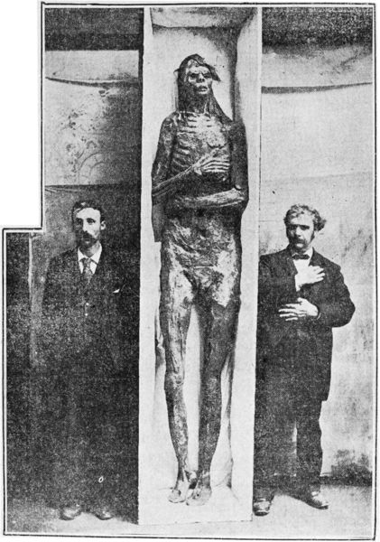 File:San Diego Giant - Exhibitor (right) and W. J. McGee (left) of the Smithsonian, unknown date.jpg