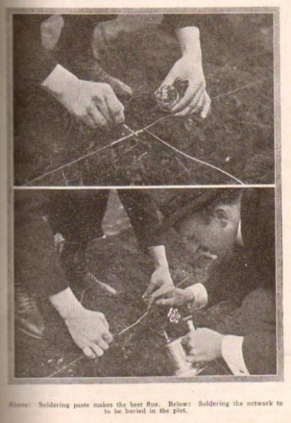 File:Cultivating Vegetables with Electricity - photo2.jpg