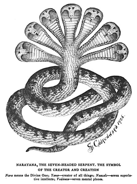 File:James Churchward, Lost Continent of Mu (1926) - Narayana, the Seven-Headed Serpent, p. 14.jpg