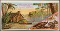 Ayer's Ague Cure (1) - front - cabin on a waterway, alligator and frogs - advertising card (c. 1870-1900).jpg