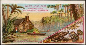Advertising card depicting a cabin on a waterway, a woman and child waiting as a canoeist comes to shore, with corner image of an alligator and two frogs examining a bottle of Ayer's Ague Cure taken from a box.