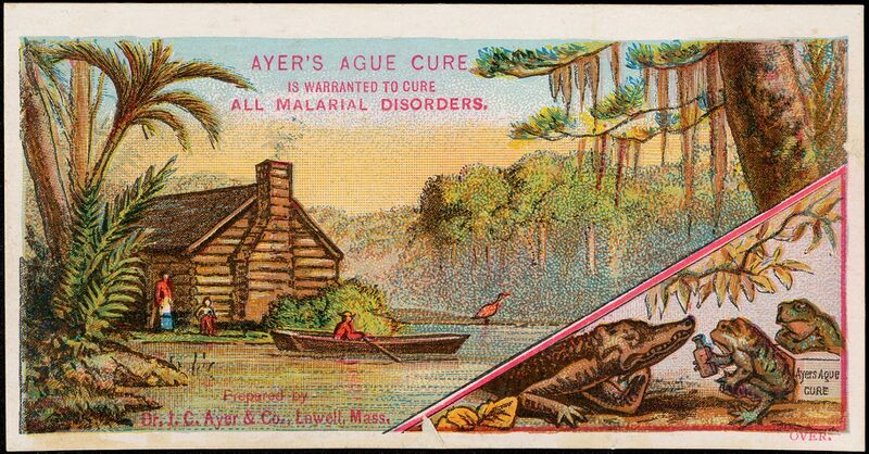 File:Ayer's Ague Cure (1) - front - cabin on a waterway, alligator and frogs - advertising card (c. 1870-1900).jpg